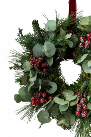 Coronita "Seasonal" [1]