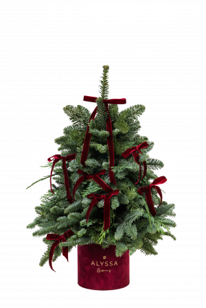 Bradut cu Fundite [1]