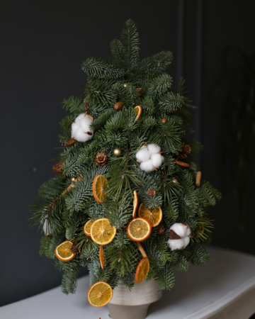 Bradut Orange Slice [1]