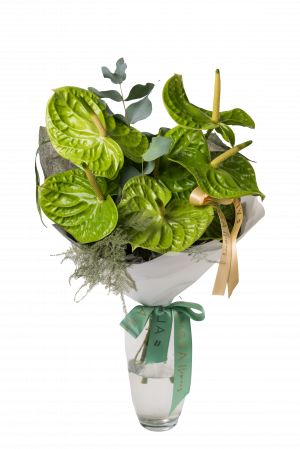 Buchet Anthurium [2]