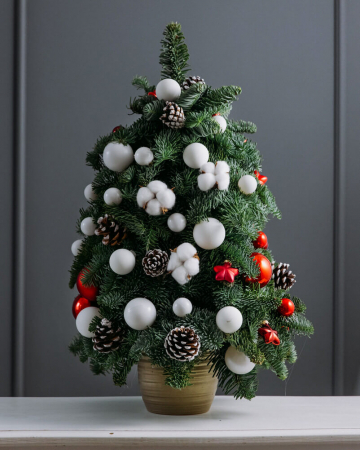 Bradut - Classical Christmas [1]