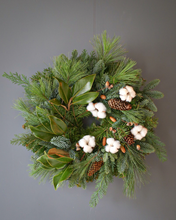 Coronite - Coronita Forest