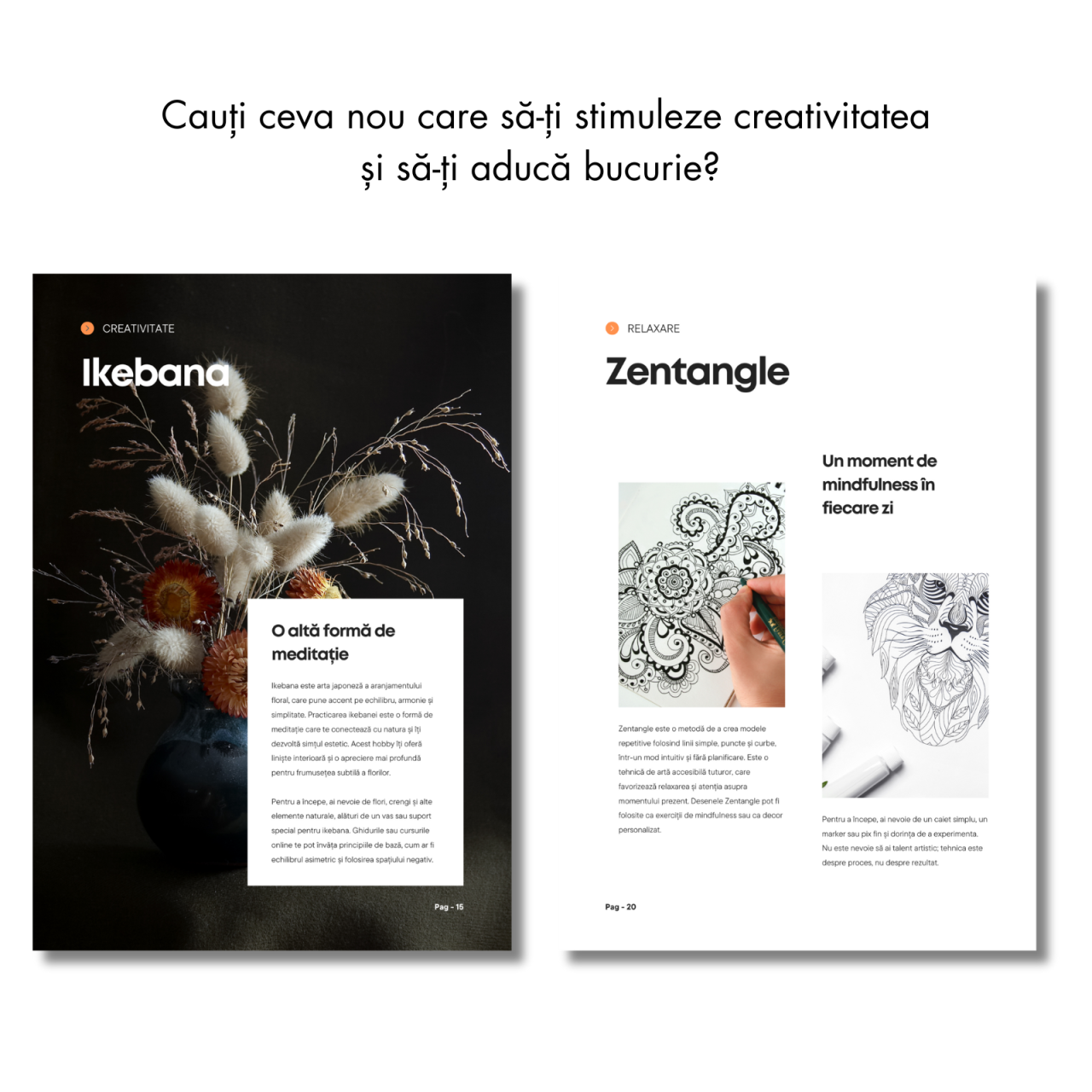 40 de hobby-uri pe care sa le incerci in 2025 [2]