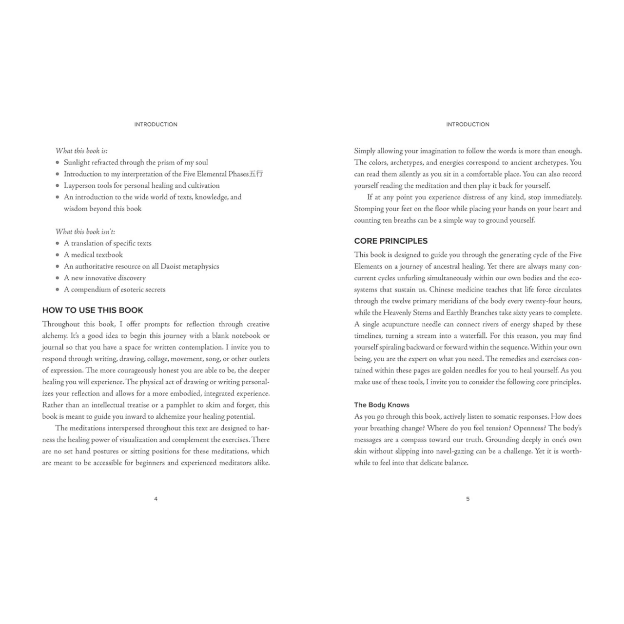 Elemental Healing: A 5-Element Path for Ancestor Connection, Balanced Energy, and an Aligned Life [5]
