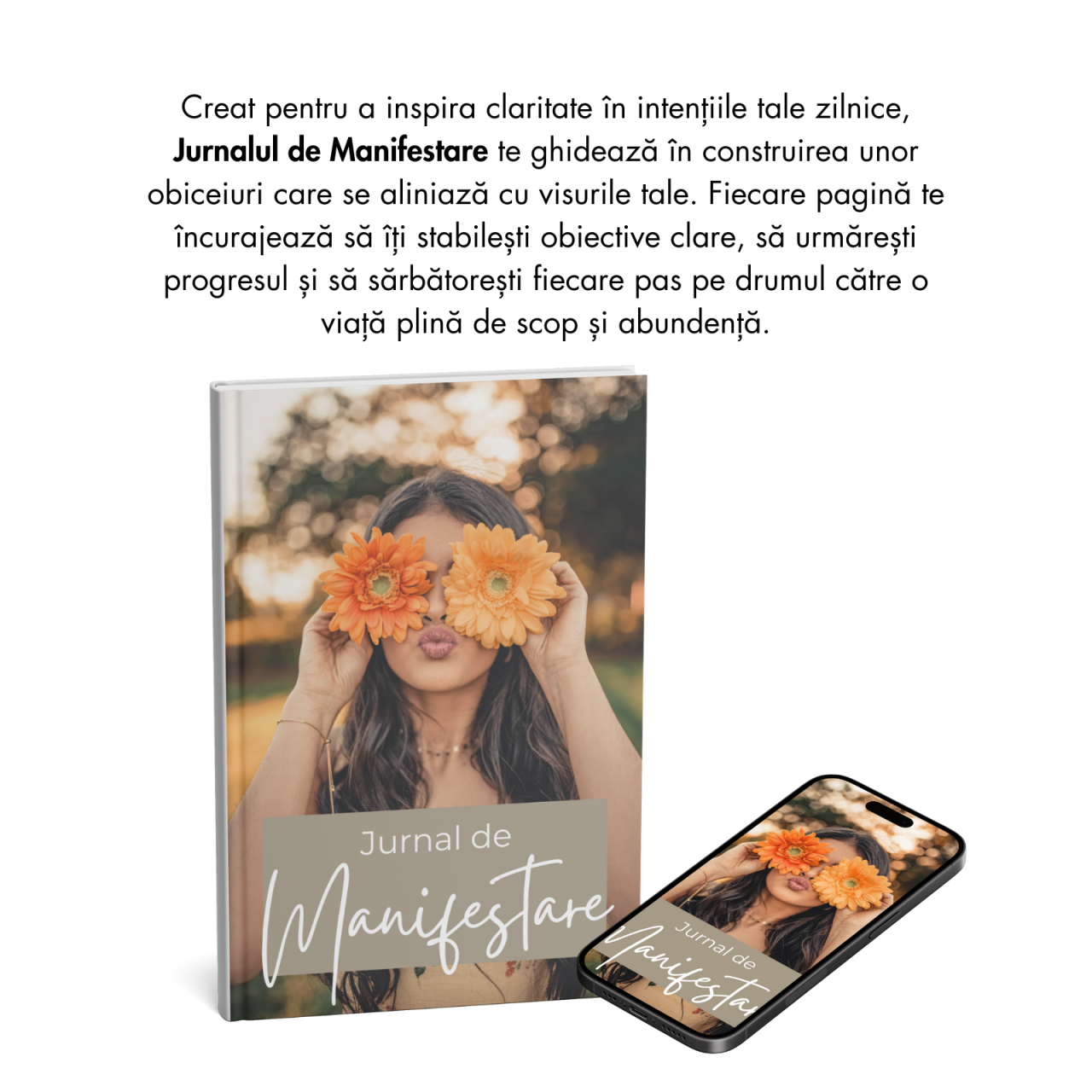 Jurnal de Manifestare - Digital Download [3]