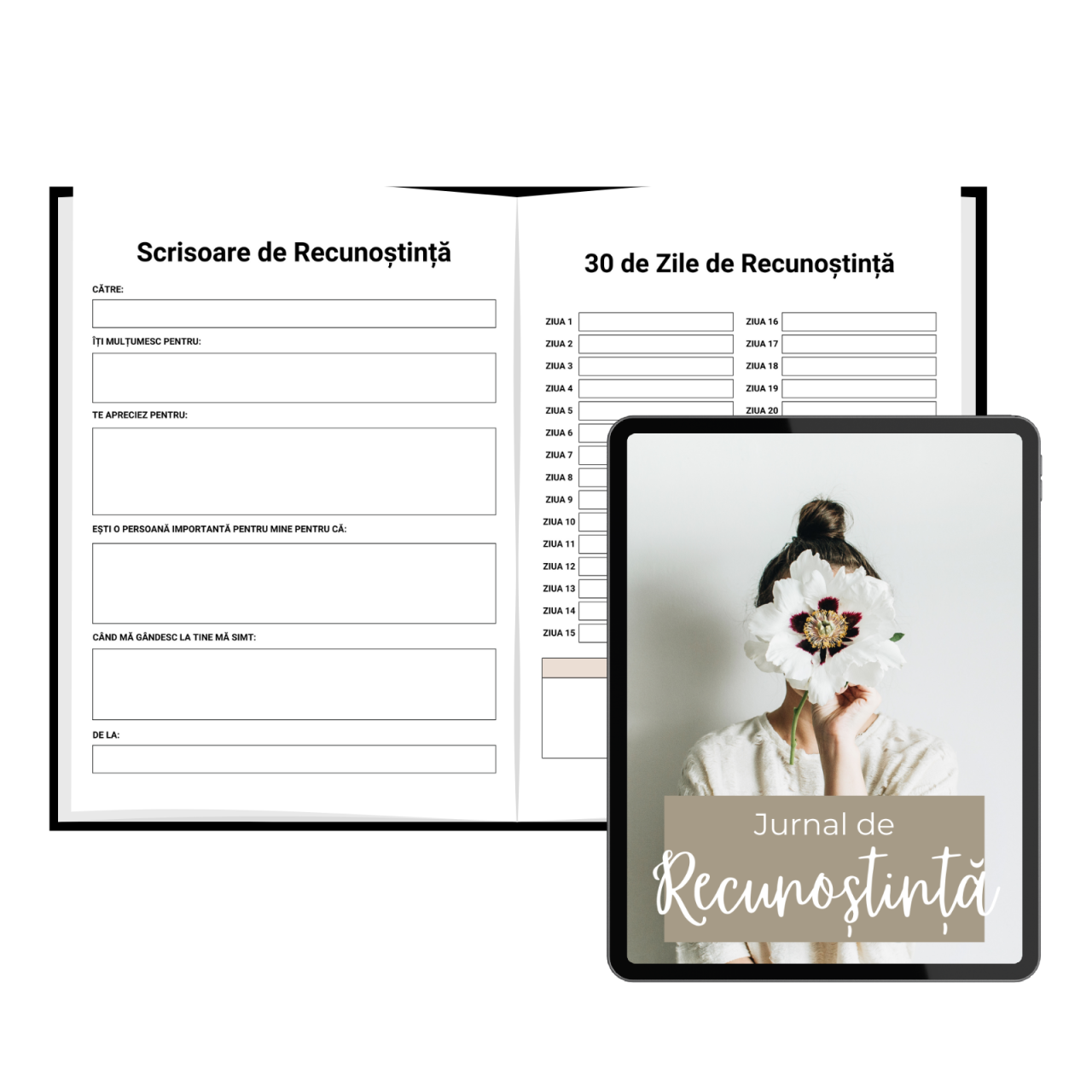 Jurnal de Recunostinta - Digital Download [4]