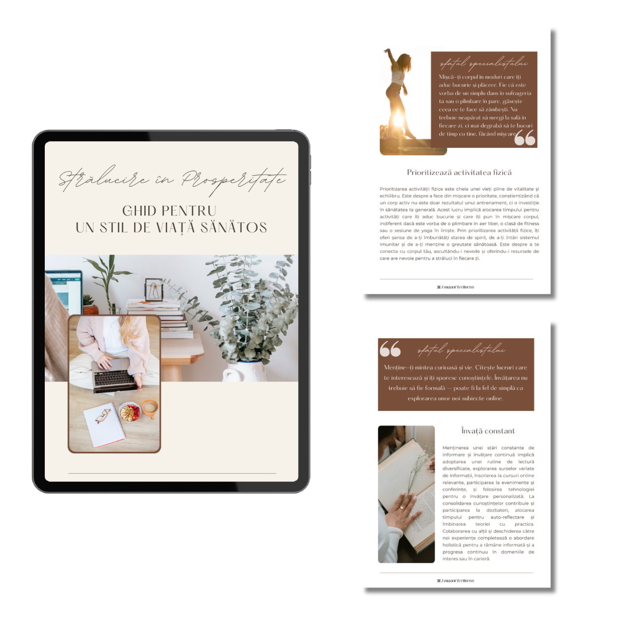 Mood Tracker & 3 Ghiduri Wellness PDF – Echilibru și claritate [3]