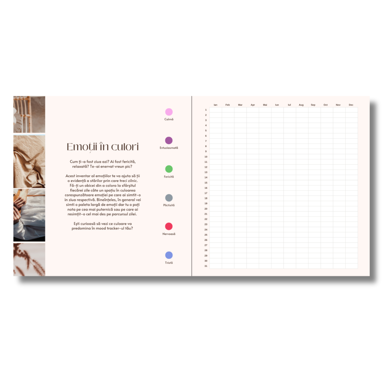Mood Tracker & 3 Ghiduri Wellness PDF – Echilibru și claritate [2]