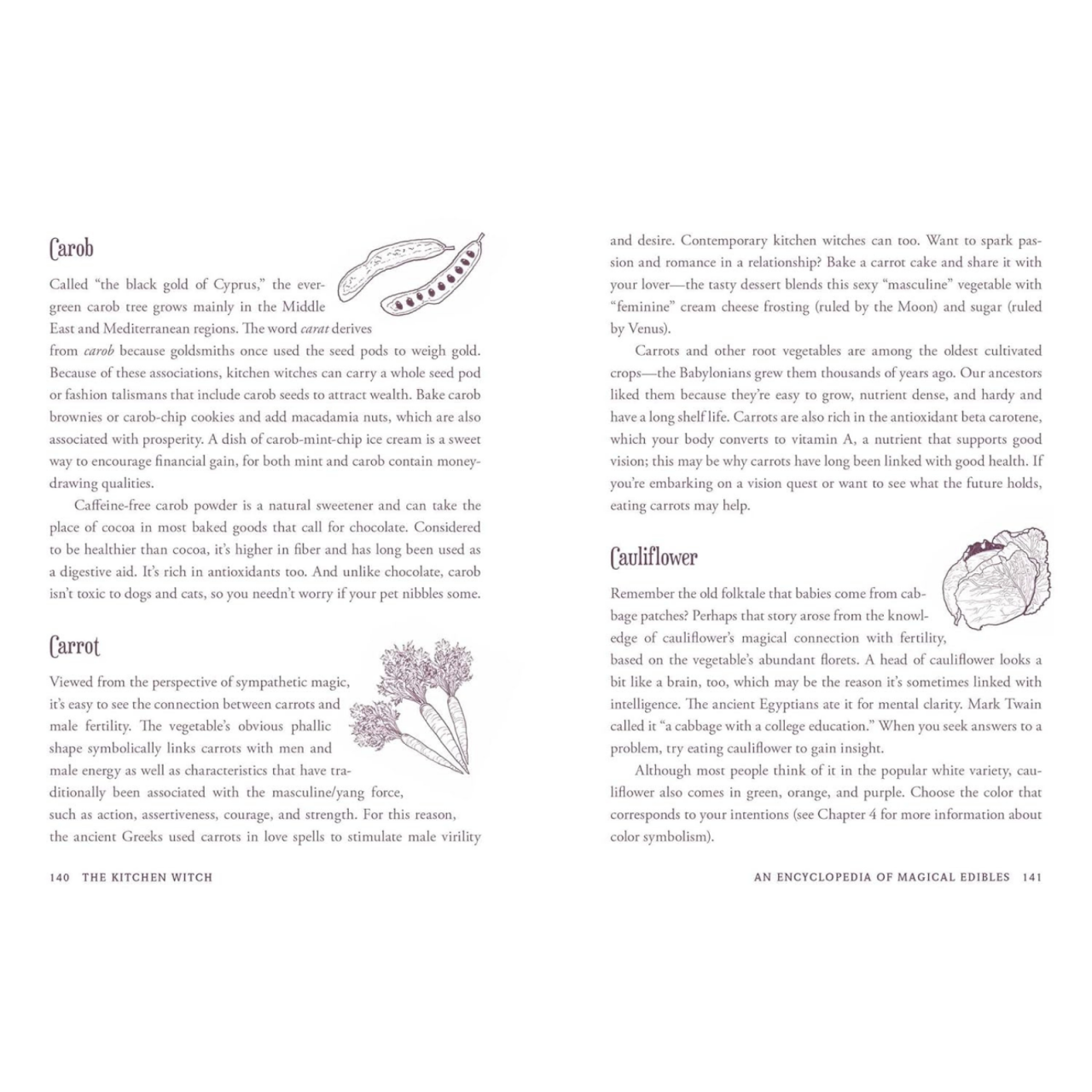 The Kitchen Witch: Your Complete Guide to Creating a Magical Kitchen with Natural Ingredients, Sacred Rituals, and Spellwork (House Witchcraft, Magic, & Spells Series) [6]