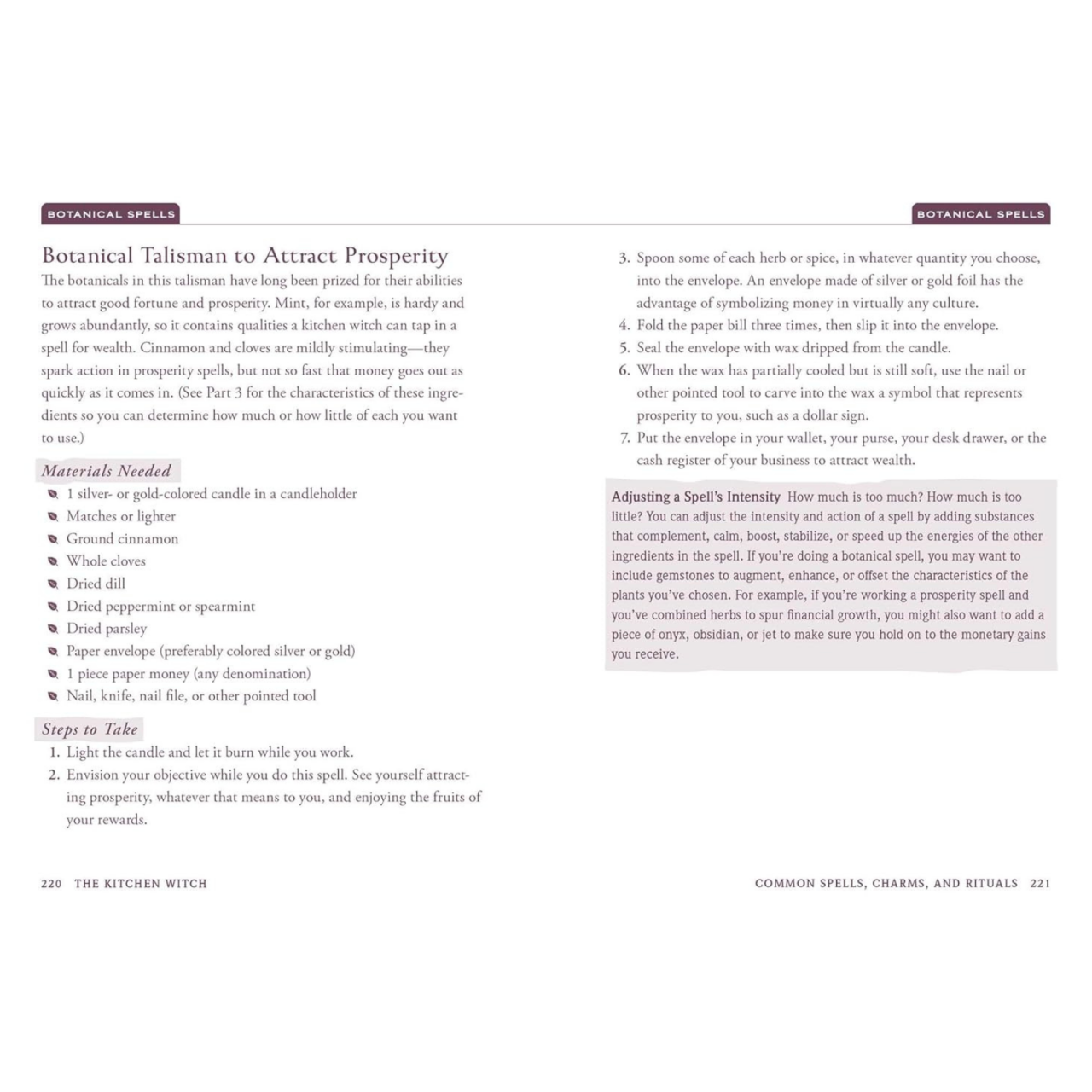 The Kitchen Witch: Your Complete Guide to Creating a Magical Kitchen with Natural Ingredients, Sacred Rituals, and Spellwork (House Witchcraft, Magic, & Spells Series) [5]