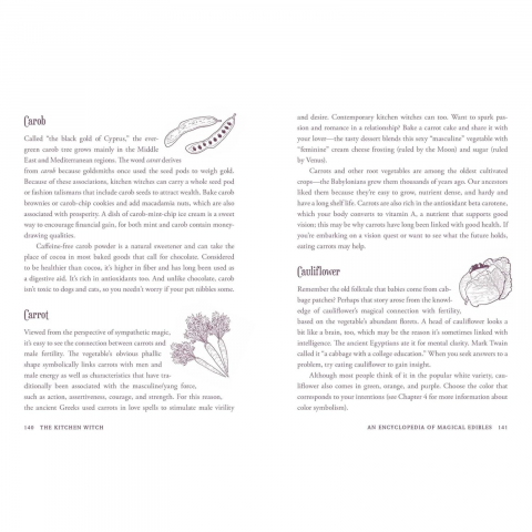 The Kitchen Witch: Your Complete Guide to Creating a Magical Kitchen with Natural Ingredients, Sacred Rituals, and Spellwork (House Witchcraft, Magic, & Spells Series) [5]