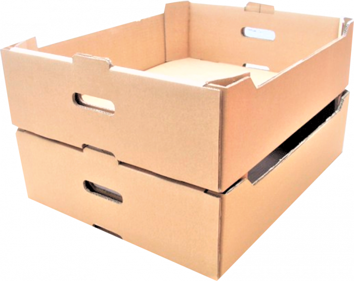 15 buc Ladita fructe mare 600 x 400 x 170 mm - K17 mare [1]