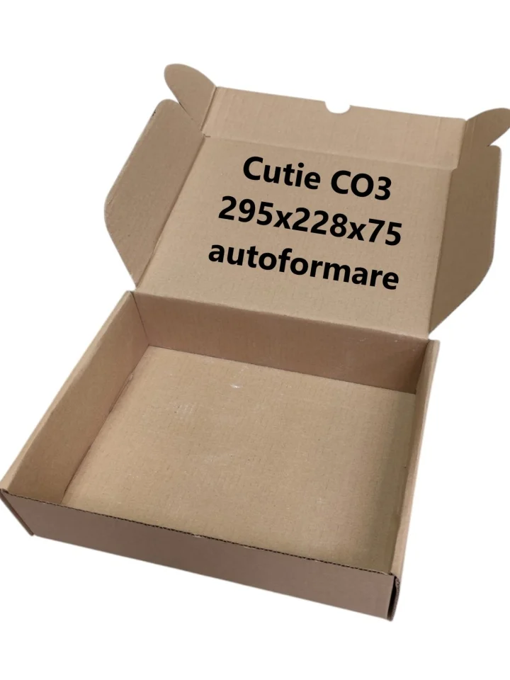Cutie Arhivare - 25 buc Cutie carton NATUR 295 x 228 x 75 mm