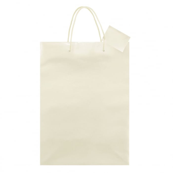 Sacoșă plastifiată nepersonalizată- 26x11x36 cm [2]