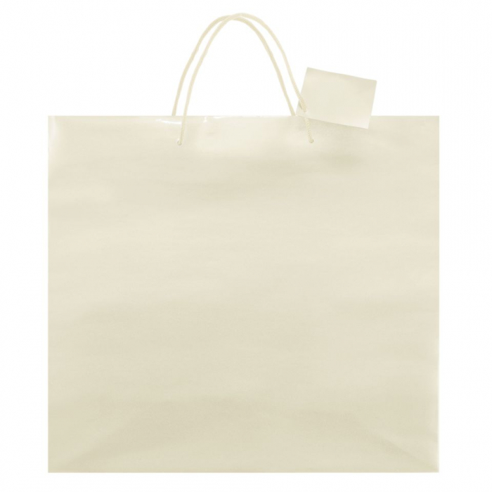 Sacoșă plastifiată nepersonalizată - 40x36x11 cm [2]