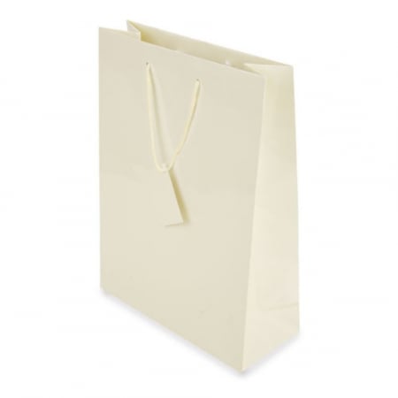 Sacoșe carton plastifiat - Sacoșă plastifiată nepersonalizată- 26x11x36 cm