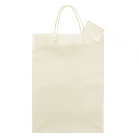 Sacoșă plastifiată nepersonalizată- 26x11x36 cm [1]