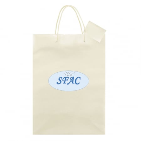Sacoșe carton plastifiat - Sacoșă plastifiată personalizată- 26x11x36 cm
