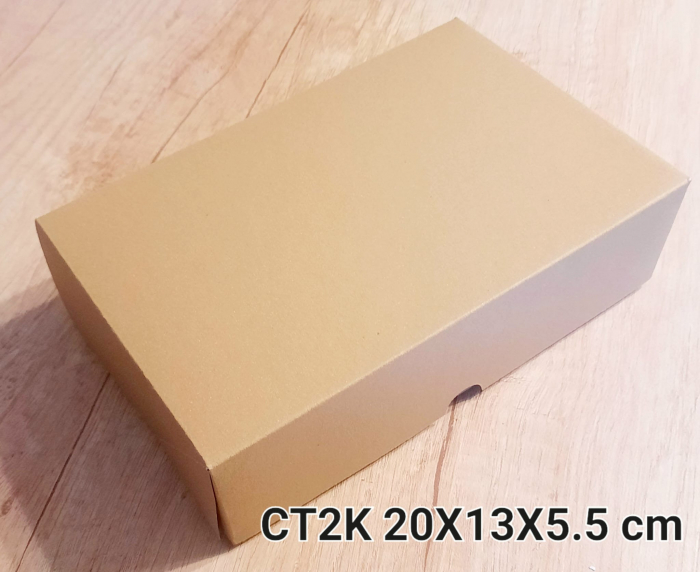 CT2-K [1]