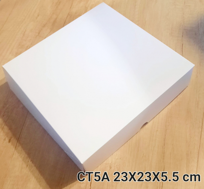 CT5-A [1]