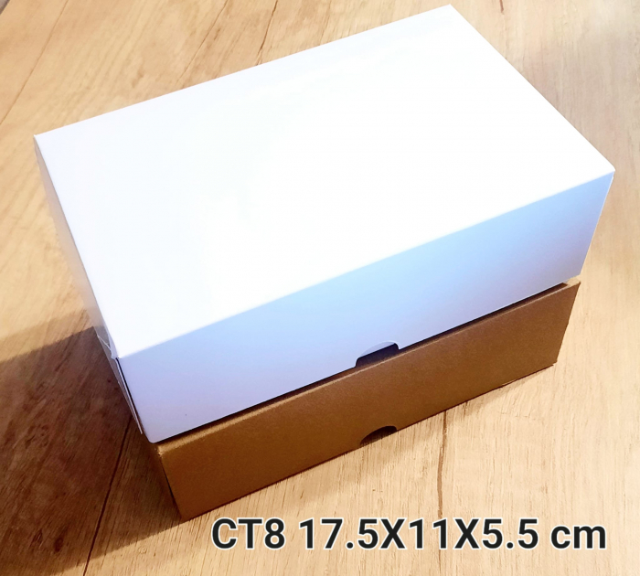CT8-K [3]
