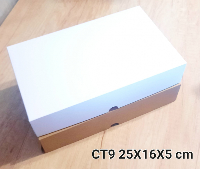 CT9-A [2]