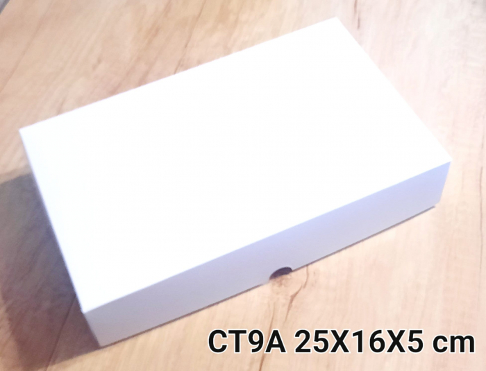 CT9-A [1]