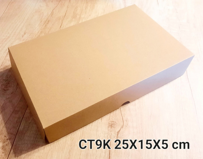 CT9-K [1]