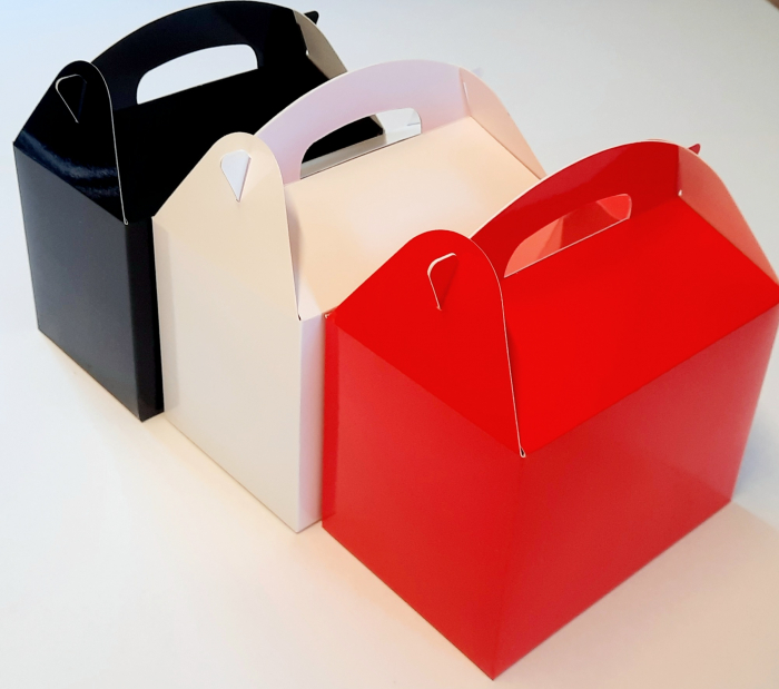 Plasuta Carton 17X11X12 CM, Rosu [3]