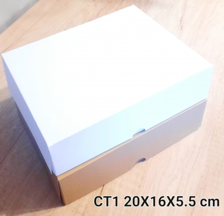 CT1-A [1]