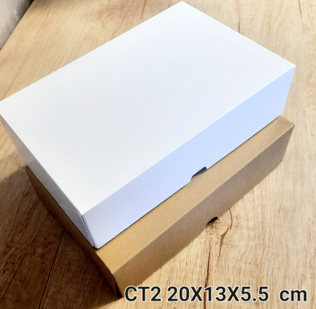 CT2-A [1]