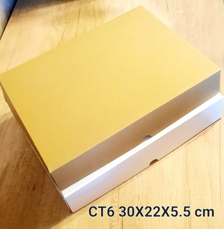 CT6-A [2]