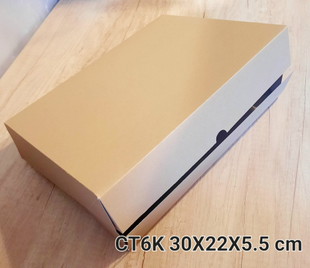 GAMA BIO - CT6-K