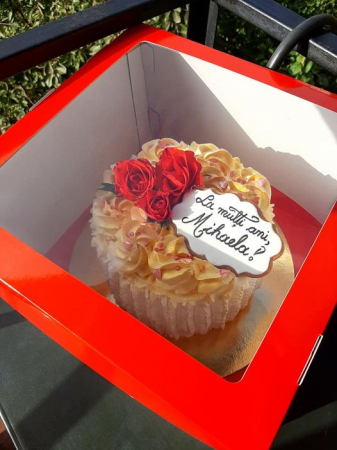 CUTII DE TORT SMART-CAKE BOX - Cutie Pentru Tort 30x30x20 cm, capac rosu cu fereastra