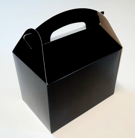 CUTII CU MANER - Plasuta Carton 17X11X12 CM, Negru
