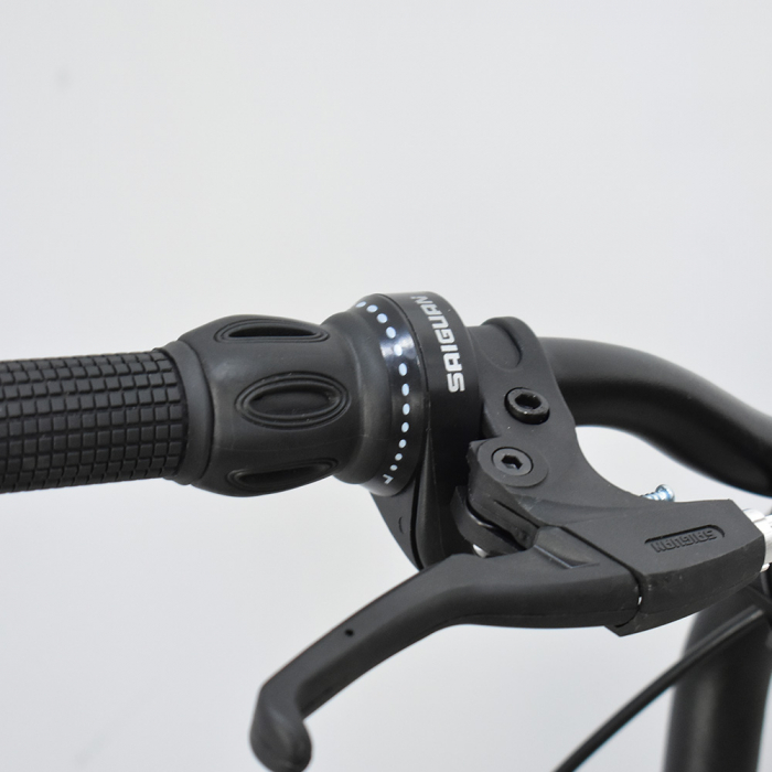 Bicicletă Folding 20' Italia [2]