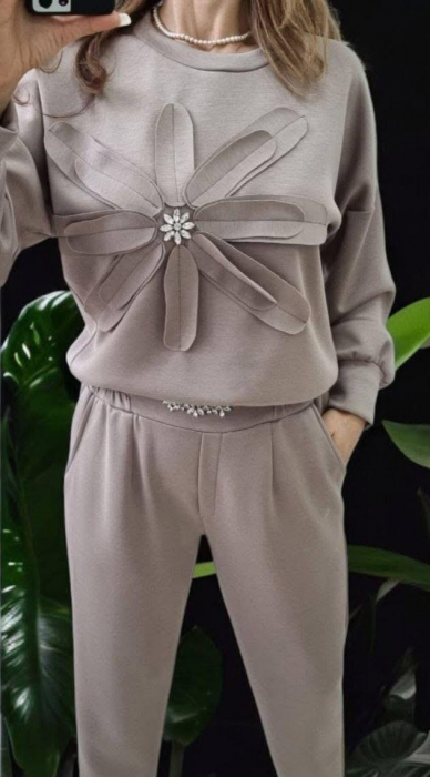 Compleu Dama Set 2 Piese Hanorac si Pantalon cu Aplicatii Strasuri - HEB [2]