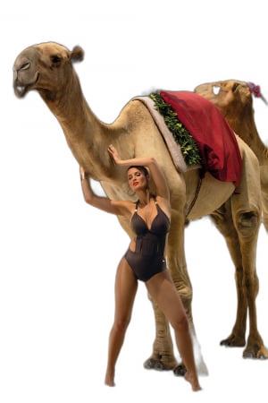 Costume intregi - Costum de baie intreg model 165749 Marko