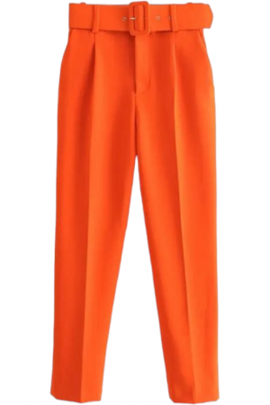 Pantaloni dama cu dunga si curea asortata - Sammy - orange [1]