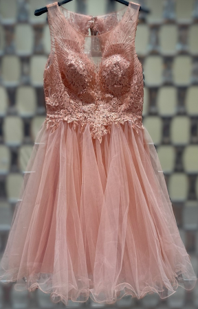 Imbracaminte Dama - Rochie Dama Scurta din Tulle si Dantela cu Strasuri