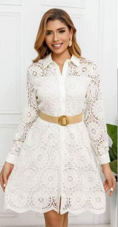 Rochii Dama - Rochie Camasa din Dantela si Curea Elvila - ALN