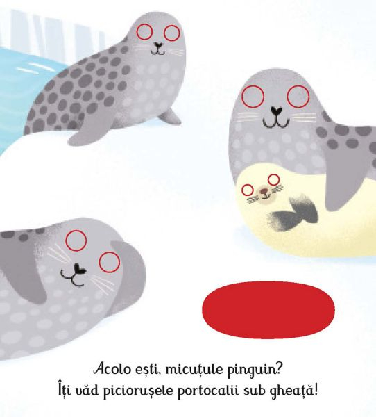 Unde esti, micutule pinguin? (Usborne) [5]