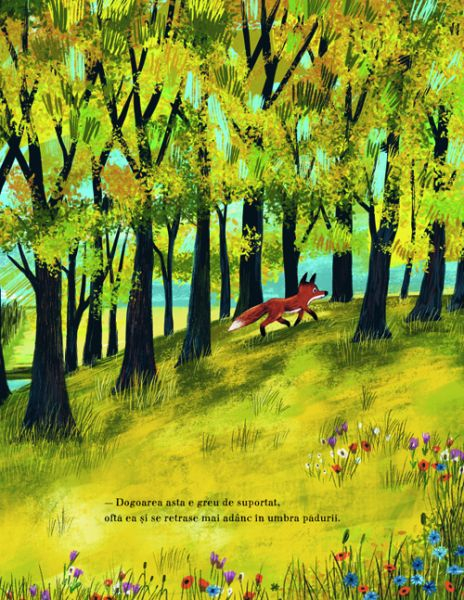 A venit vara in padure [3]