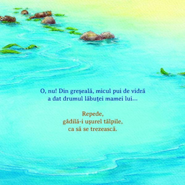 Ajuta-ma sa ajung acasa! [2]