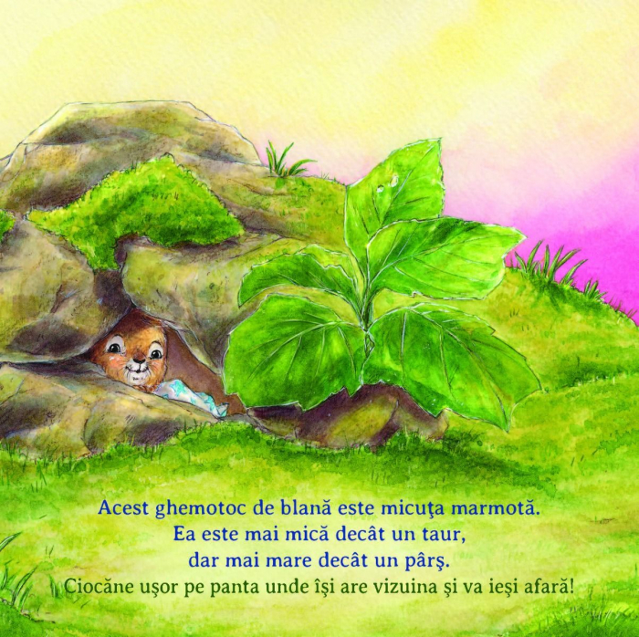 Ajuta-ma sa merg la culcare! [2]