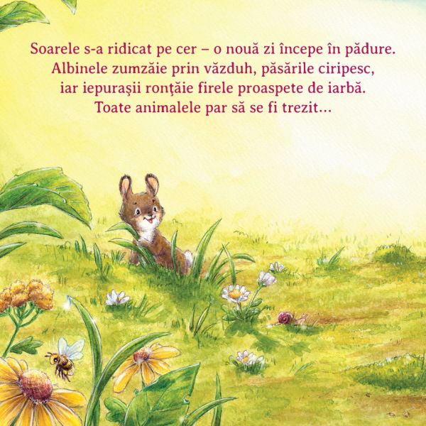 Ajuta-ma sa zambesc [2]