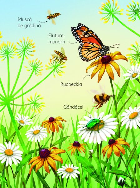 Anotimpurile (Usborne) [4]