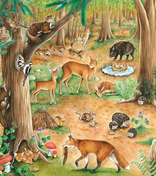 Caută și găsește Animale – carte interactivă pentru copii 3-7 ani [4]