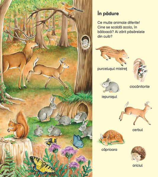 Caută și găsește Animale – carte interactivă pentru copii 3-7 ani [5]