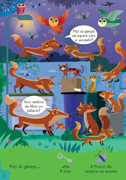 Cauta si gaseste. In timpul noptii (Usborne) [2]